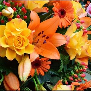 Meet your Posher, Janeth